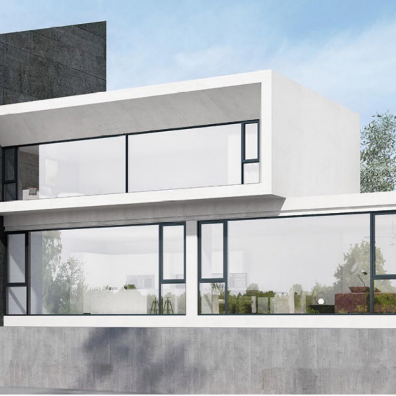 Modern Minimalist Aluminum Swing Door with Frosted Glass