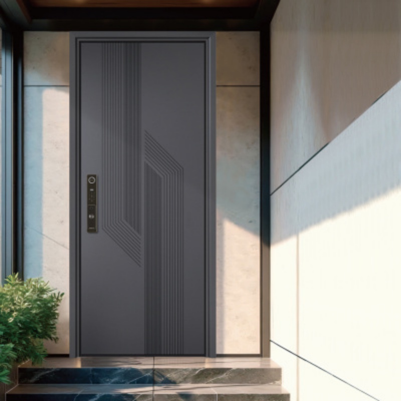 Eehe Slimline Steel Frame Residential Entry Doors and Aluminium Front with Weatherproof Sealing Nfrc Plus Aluminum Entrance