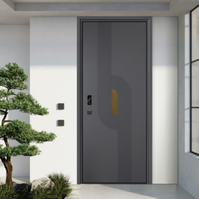 Eehe Modern Steel Entry Door Metal Frame and Aluminium Front Doors with Tempered Glass CSA Plus Aluminum Entrance