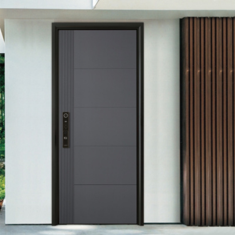 Eehe Exterior Steel Entry Doors with Glass and Aluminium Front with Insulated Glass Heavy Duty Hardware CSA for Building Facades