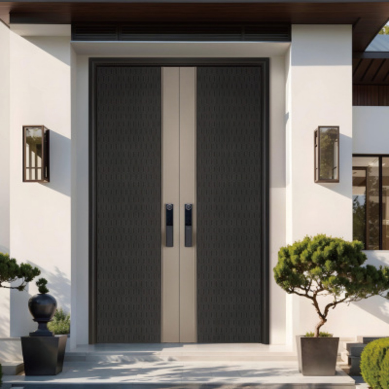 Eehe Steel Entry Door with Metal Frame and Aluminium Front with Sound Insulation Double Glazed Glass CSA