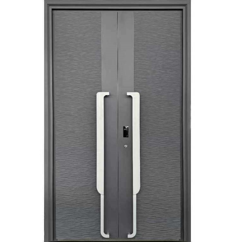 Wholesale Stainless Steel Gate Entrance Front Door Security Exterior Doors for Houses