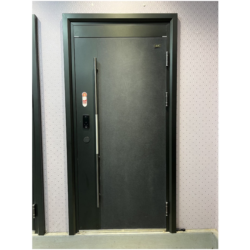 Metal Security Front Entrance Door for Houses Stainless Steel Door