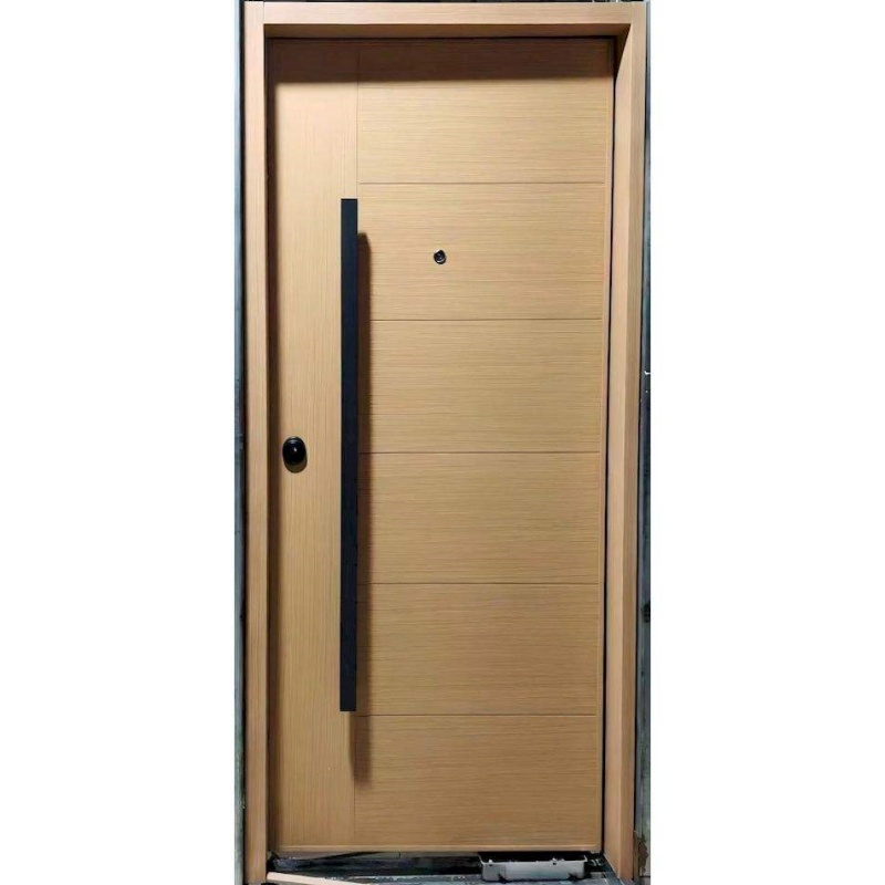 Hot Sale Entry Metal Steel Door for House Security Stainless Steel Door