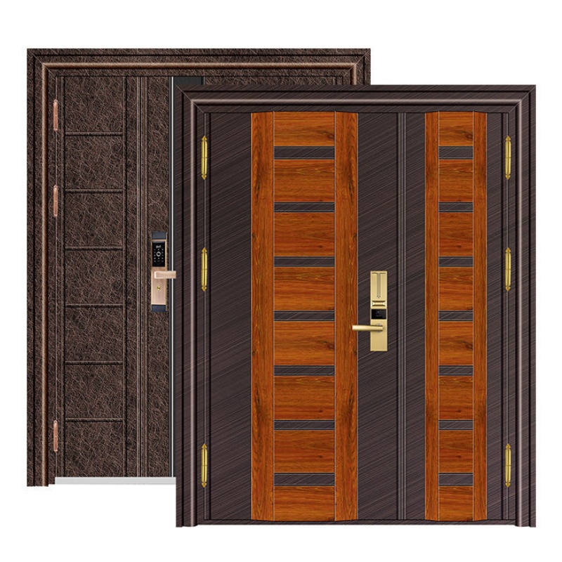 Fashionable Entry Metal Steel Door for House Security Stainless Steel Door