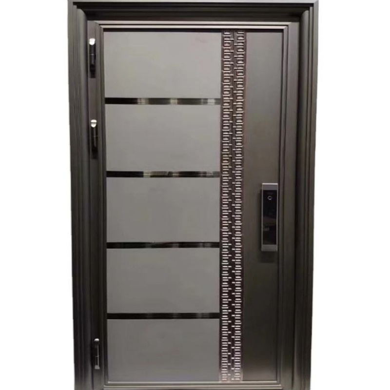 Fashionable Entry Metal Steel Door for House Security Stainless Steel Door