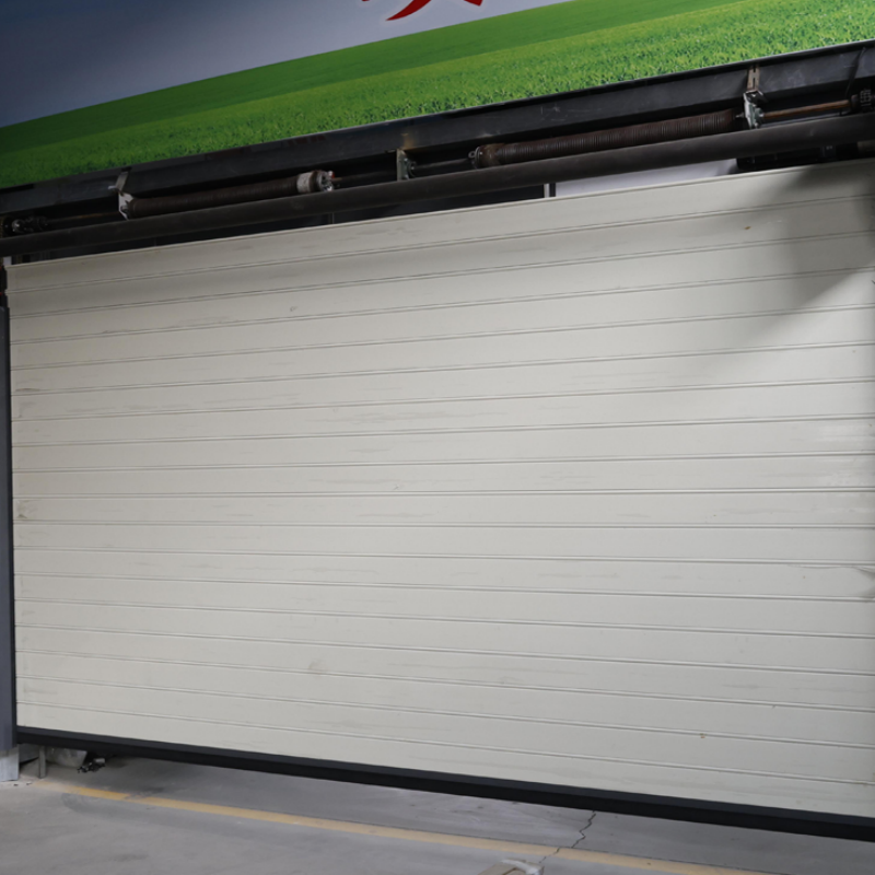 Newton Customized Windproof Sectional Residential Aluminum Garage Door Overhead Garage Door