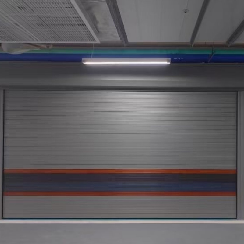 Factory Price Automated 2 Car Customized Waterproof Garage Doors with Small Door