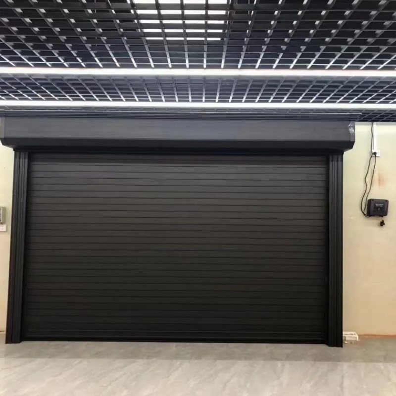 Newton Wholesale Modern Design Galvanized Steel Automatic Insulated PU Foam Garage Door